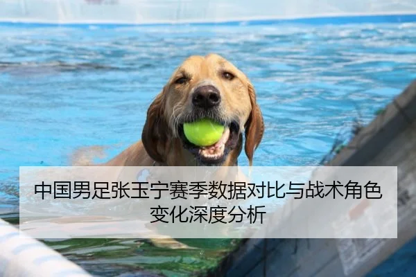 中国男足张玉宁赛季数据对比与战术角色变化深度分析