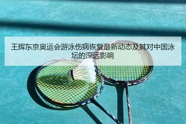 王辉东京奥运会游泳伤病恢复最新动态及其对中国泳坛的深远影响