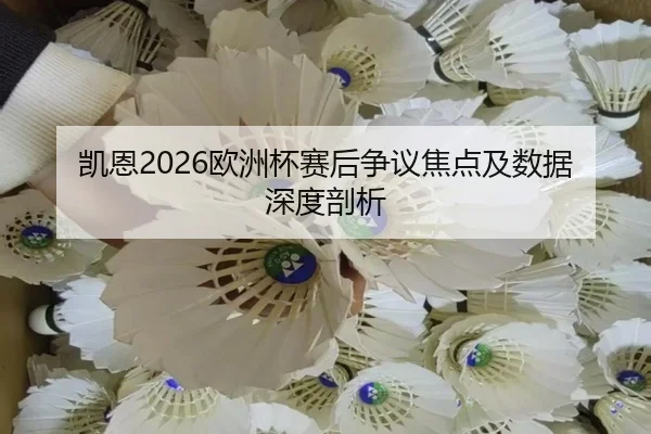凯恩2026欧洲杯赛后争议焦点及数据深度剖析