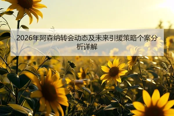 nian-a-sen-na-zhuan-hui-dong-tai-ji-wei-lai-yin-yuan-ce-lve-ge-an-fen-xi-xiang-jie-2-411.jpg
