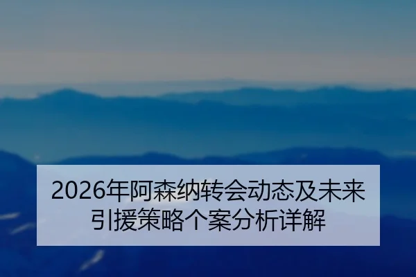 2026年阿森纳转会动态及未来引援策略个案分析详解